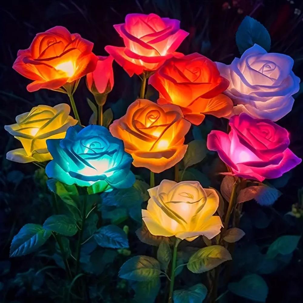 Rose - Aurinkolamput