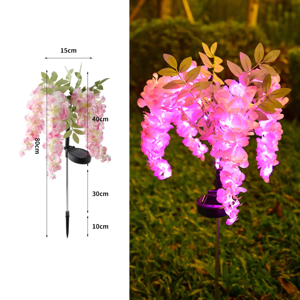 Wisteria - Aurinkolamput