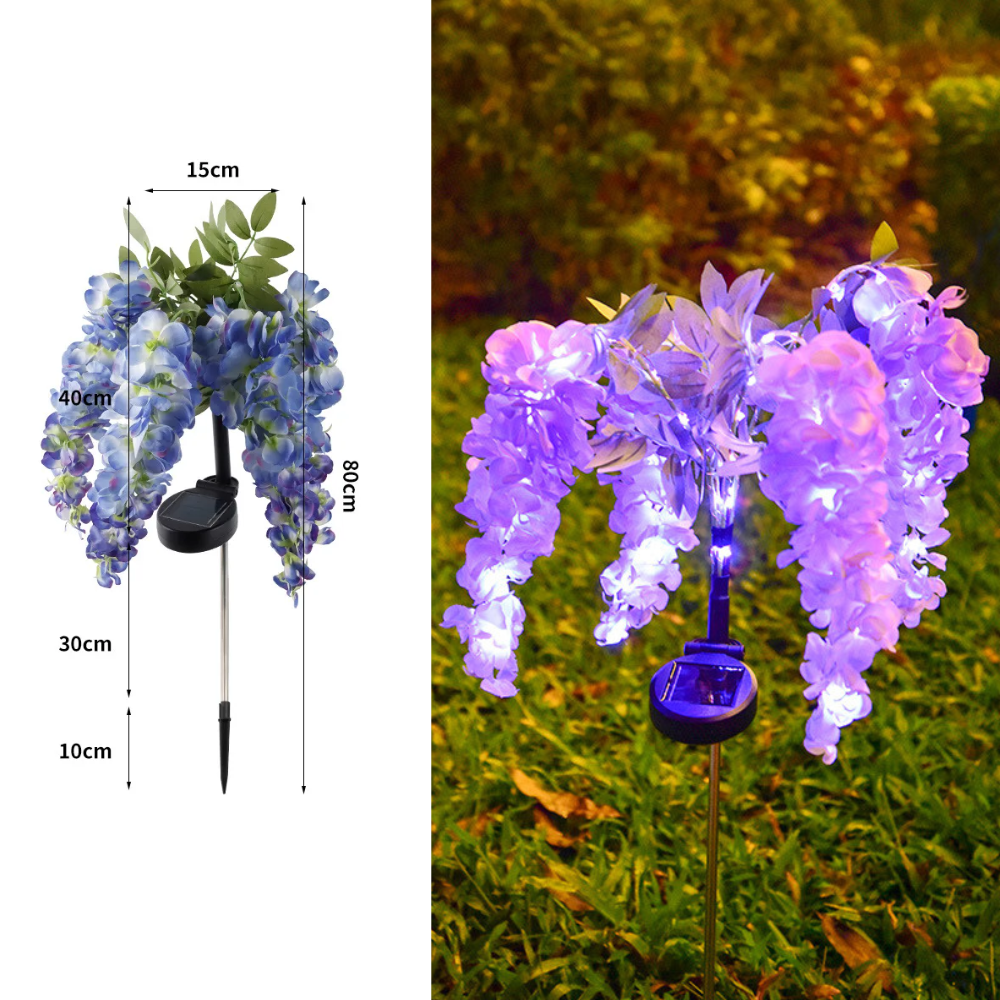 Wisteria - Aurinkolamput
