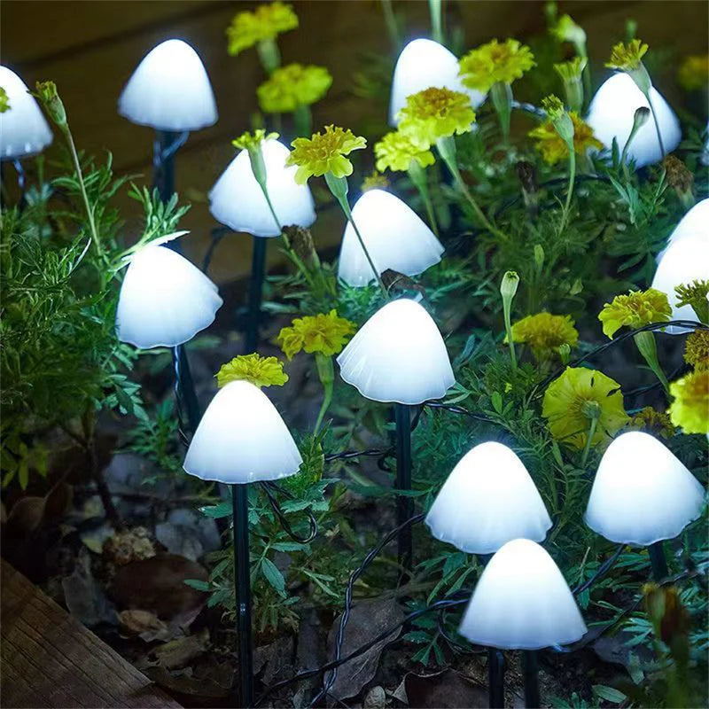 SunShroom™ - Aurinkopuutarhan sieni-valaisimet