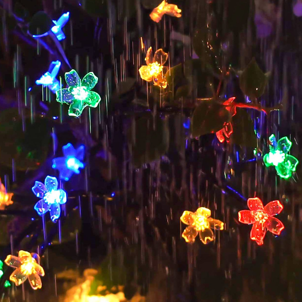 FairyFlowers™ - Aurinkolamput