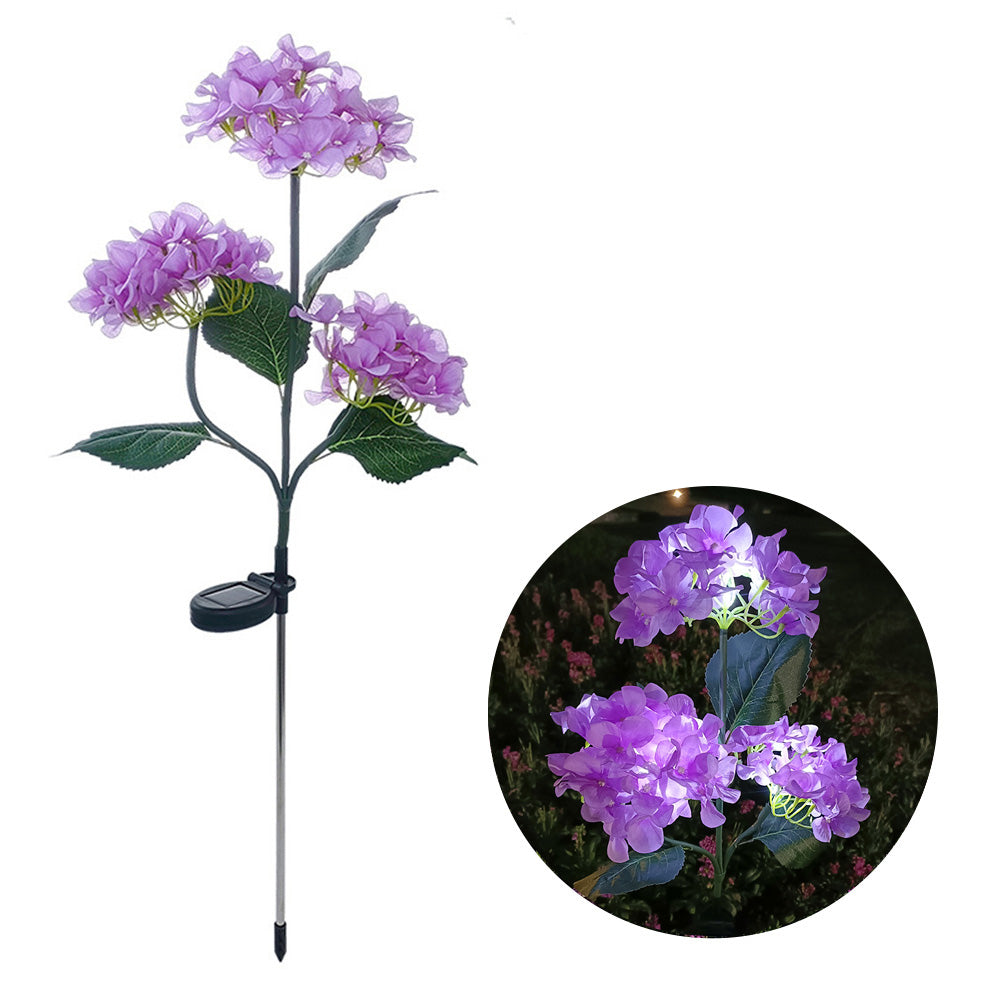 Hortensia - Aurinkolamput