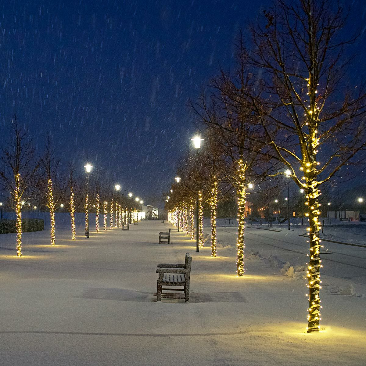 10m-100m kytkettävä merkkijono keiju LED-valot