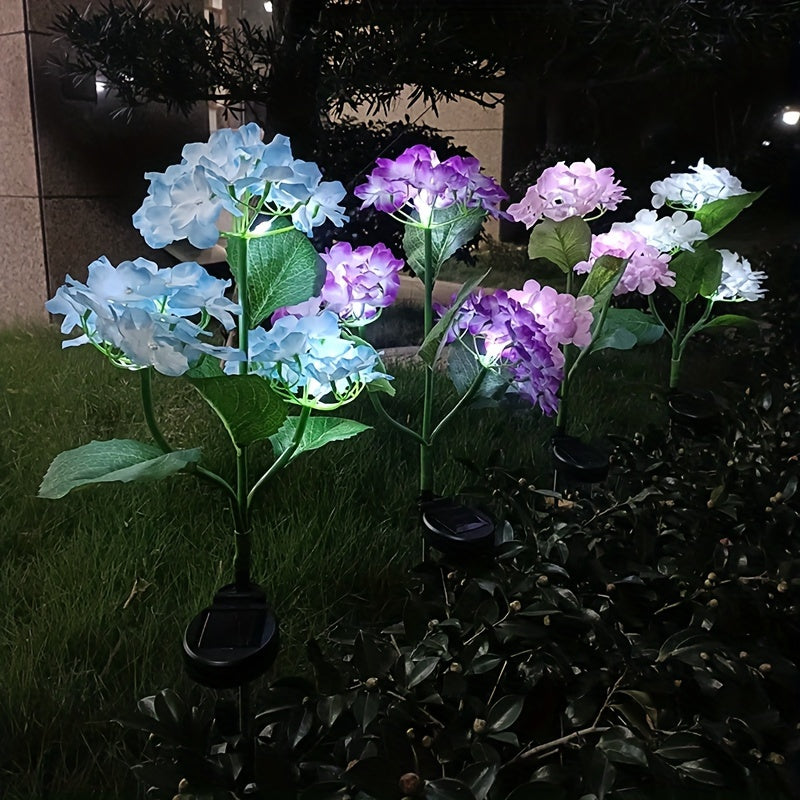 Hortensia - Aurinkolamput