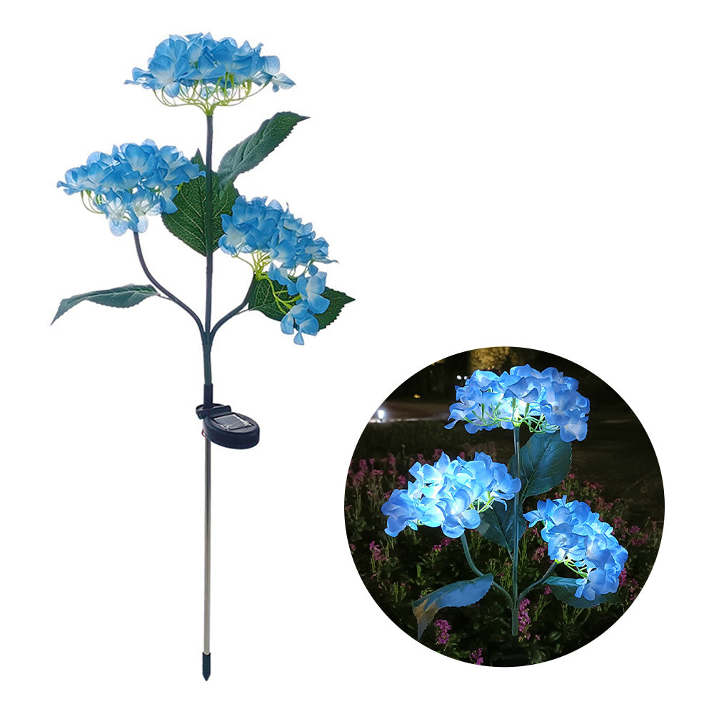 Hortensia - Aurinkolamput