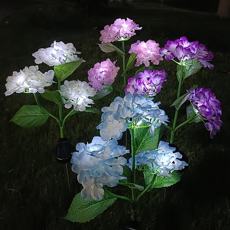 Hortensia - Aurinkolamput