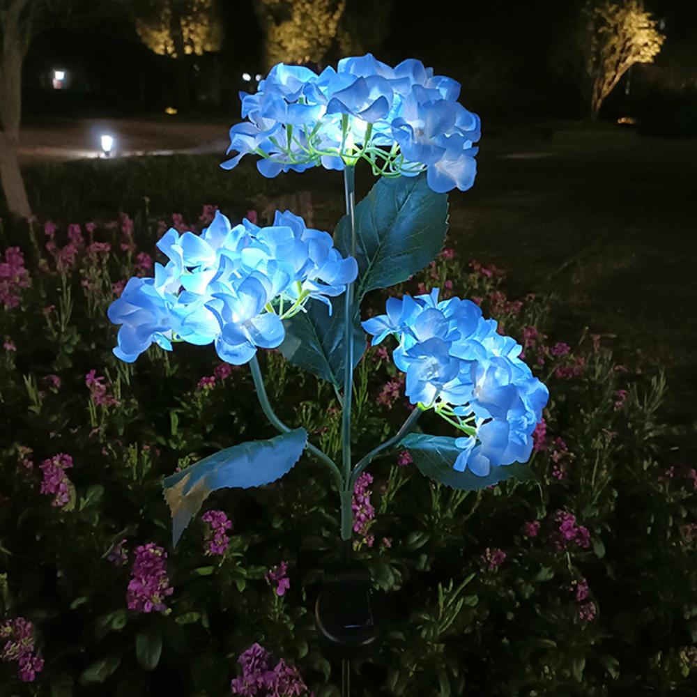 Hortensia - Aurinkolamput