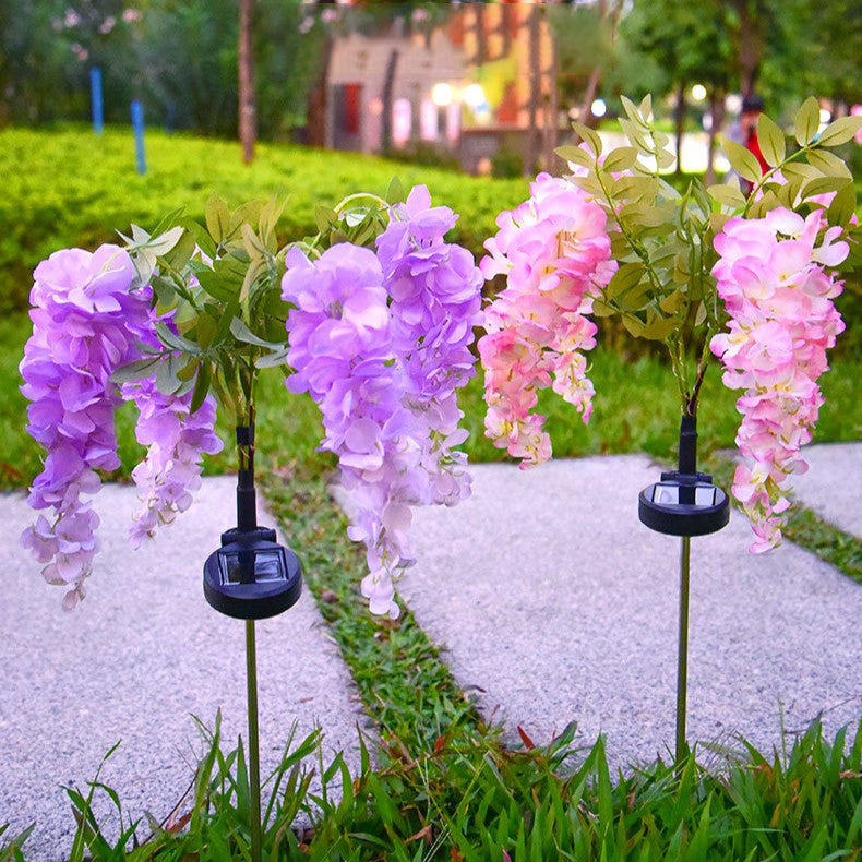 Wisteria - Aurinkolamput