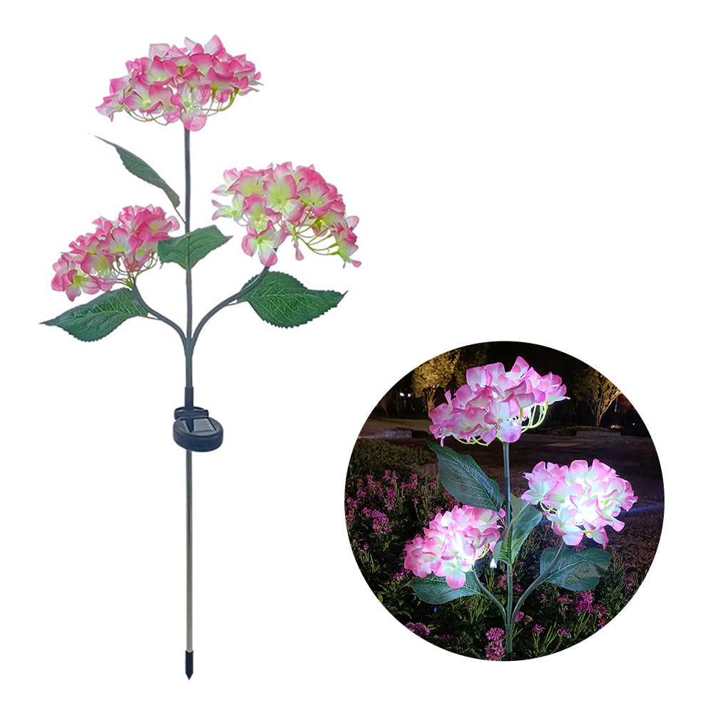 Hortensia - Aurinkolamput