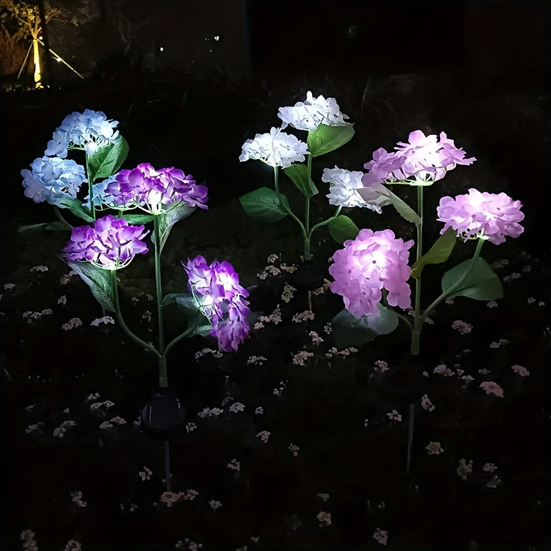 Hortensia - Aurinkolamput